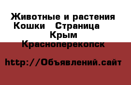 Животные и растения Кошки - Страница 6 . Крым,Красноперекопск